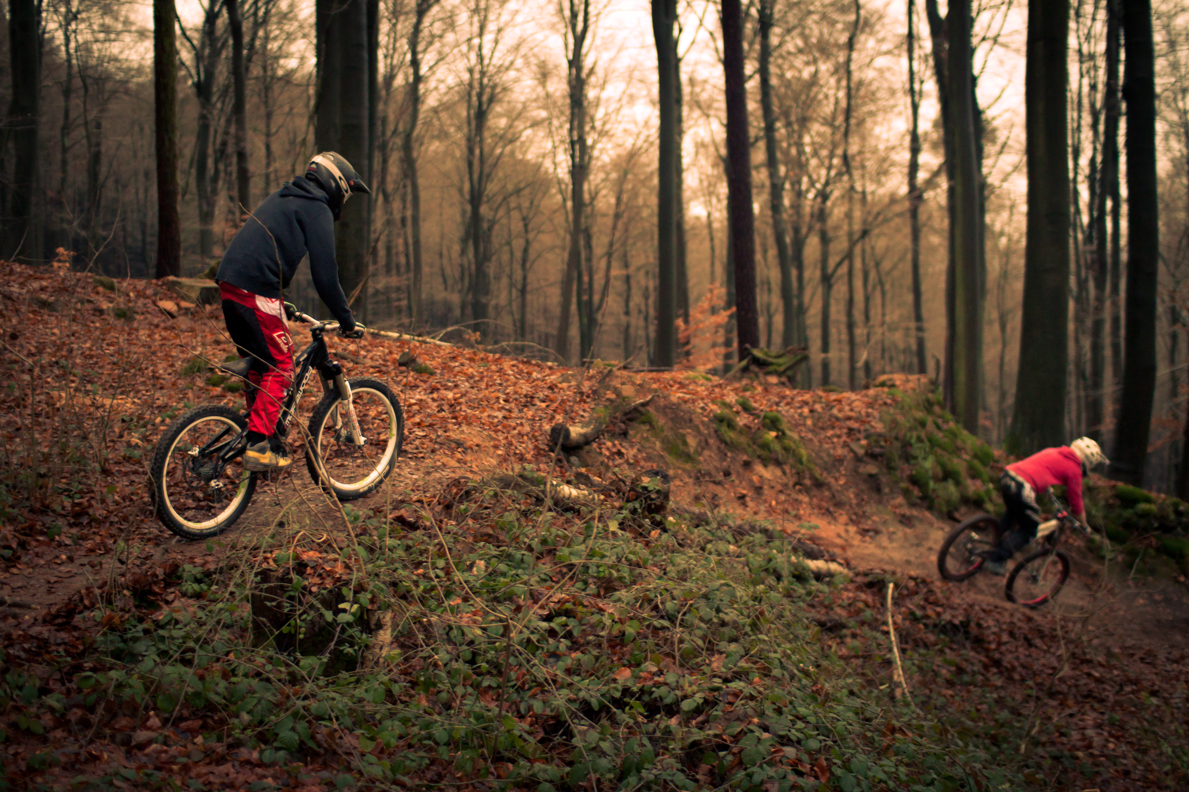 Zwei Fahrer auf einem Trail im Bikepark Eisenbach im Herbst