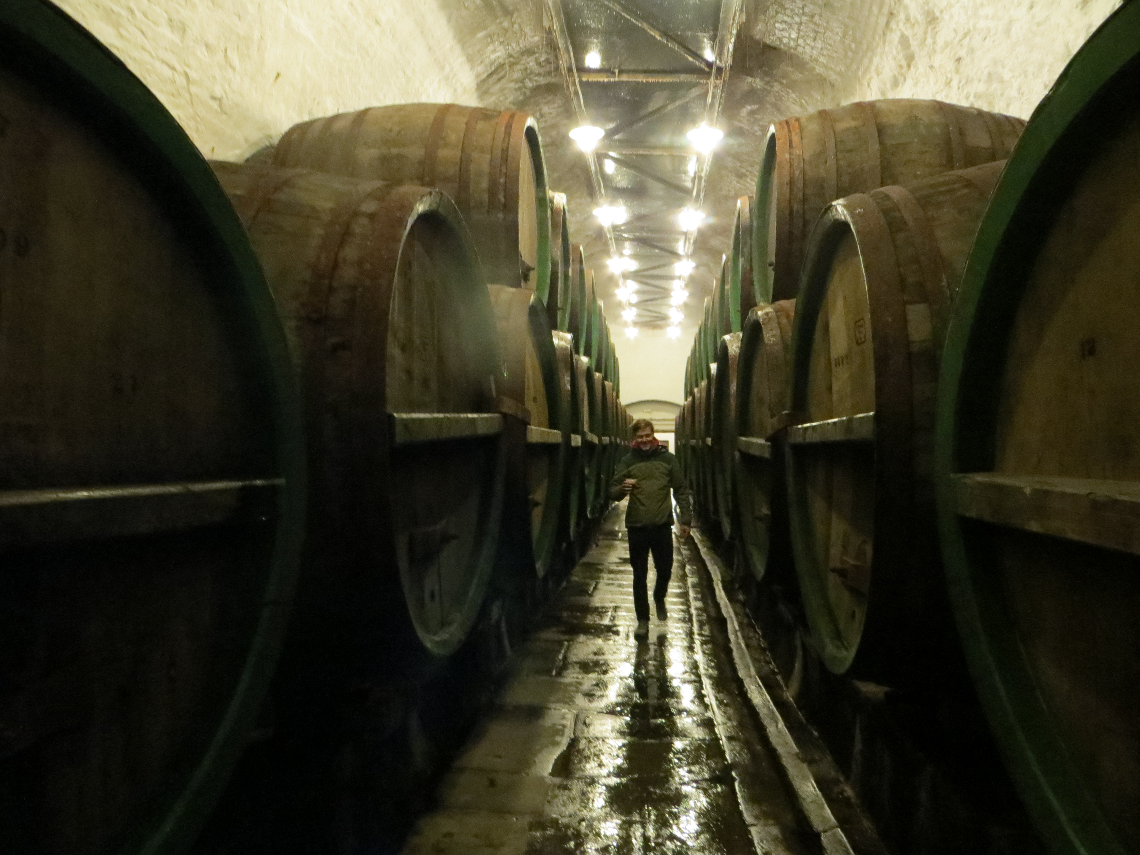 Pilsner-Urquell-Bierkeller mit großen Holzfässern